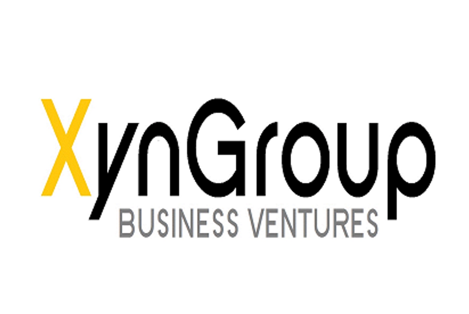 XynGroup_logo